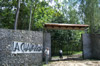 Thumbnail Image 1